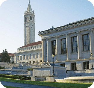 Elite Global Institution 4